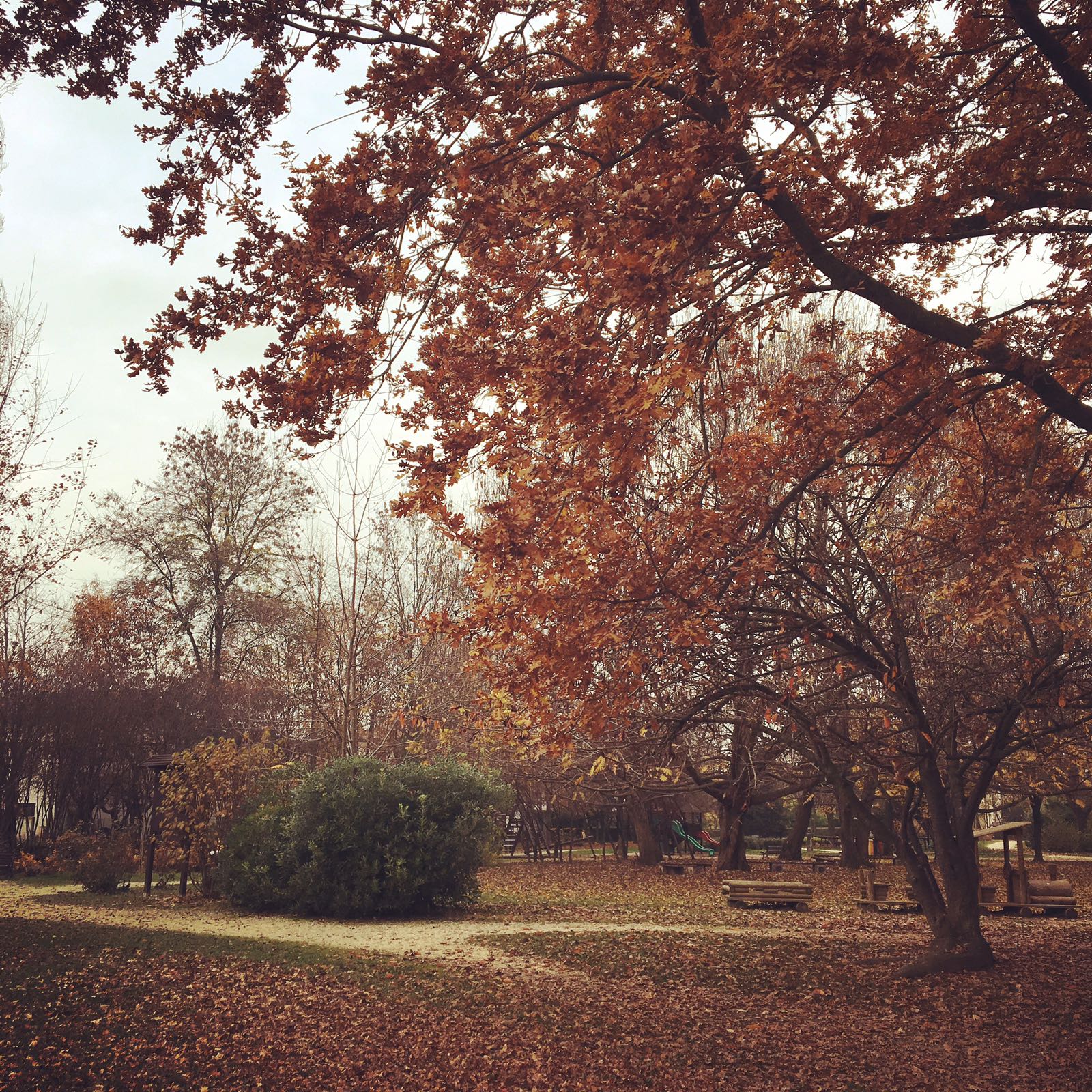 immagine-parco-autunno-2016